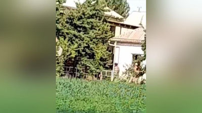 'Surxondaryoda er xotinini tomorqada ishlamagani uchun do`pposladi (video)'ning rasmi