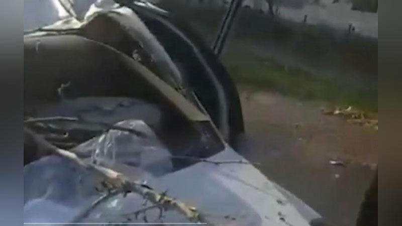 'Toshkentda avtomobil ustiga daraxt qulashi oqibatida 26 yoshli qiz halok bo`ldi'ning rasmi