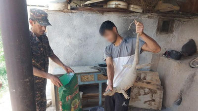 Изрображение 'Житель Кашкадарьи убивал и сдирал шкуры с краснокнижных варанов'