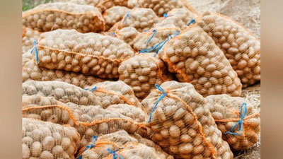 'Qish va bahor mavsumida aholi asosiy turdagi oziq-ovqat mahsulotlari bilan uzluksiz ta`minlanadi'ning rasmi