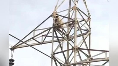 'Erksevar maymun 50 metr balandlikdan sakrab tirik qoldi (Video)'ning rasmi