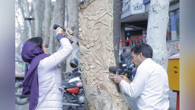 'Теҳронда ўлик дарахтлар санъат асарига айлантирилмоқда'ning rasmi