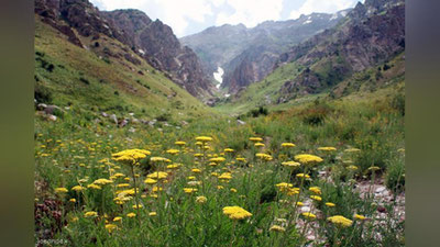 Изрображение 'ЧИМГАН ВОШЕЛ В ТОП-5 ПОПУЛЯРНЫХ ГОРНЫХ КУРОРТОВ У РОССИЯН'
