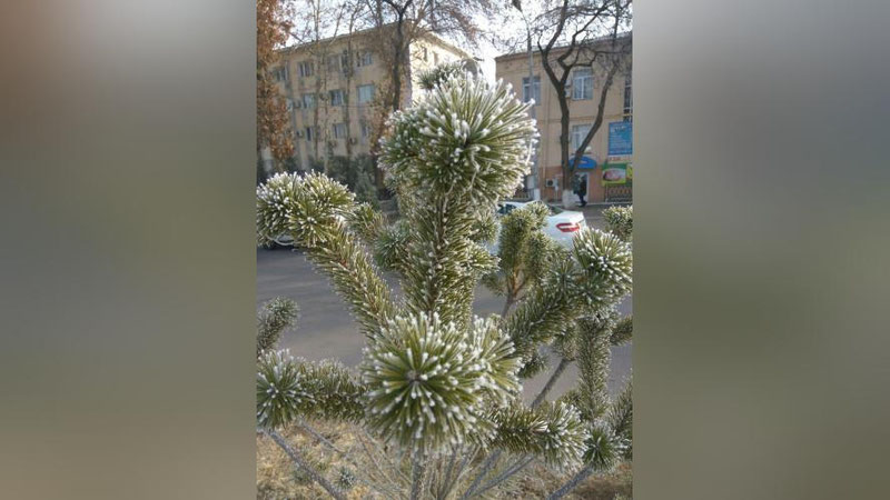 Изрображение 'СИНОПТИКИ РАССКАЗАЛИ, КОГДА ЖДАТЬ ПОТЕПЛЕНИЯ'