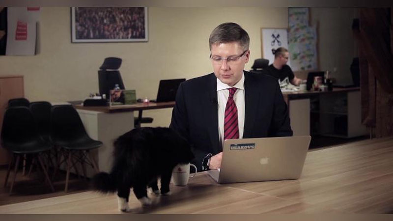 'Riga merining jonli efirdagi muloqotini mushuk to`xtatib qo`ydi (Video)'ning rasmi
