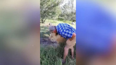 'Urg`ochi sher turistning qo`lini tishlab oldi (Video) 'ning rasmi