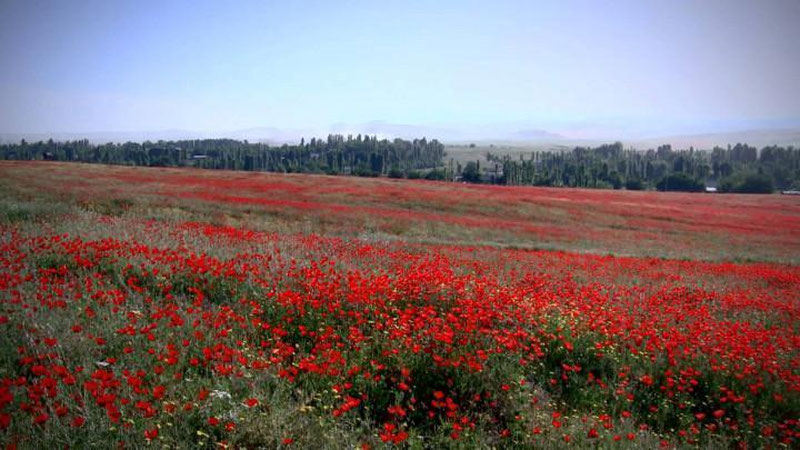 '26 апрель куни кутилаётган об-ҳаво маълумоти'ning rasmi