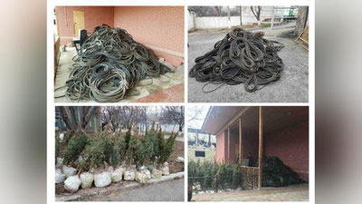 'Avtomobil ehtiyot qismlari va noyob archalarni noqonuniy aylanmasiga chek qo`yildi'ning rasmi