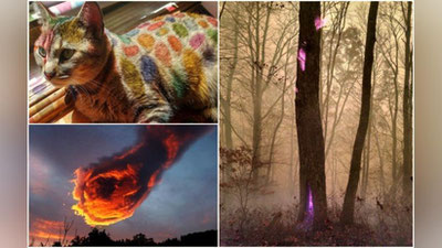 'Она табиат яратган суратлар коллекцияси (Фото)'ning rasmi