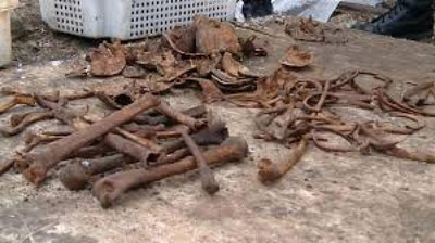 'Belarusiyadagi qurilish maydonida 600 dan ortiq odam suyaklari topildi 'ning rasmi