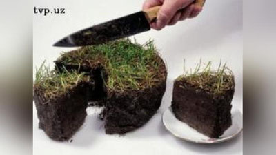 'Quyichirchiq tumanida noqonuniy er sotuvchilar aniqlandi'ning rasmi