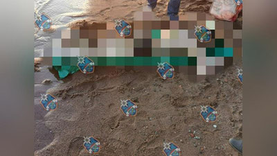 Изрображение 'Из Невы в Ленинградской области достали утонувшего мигранта из Узбекистана'