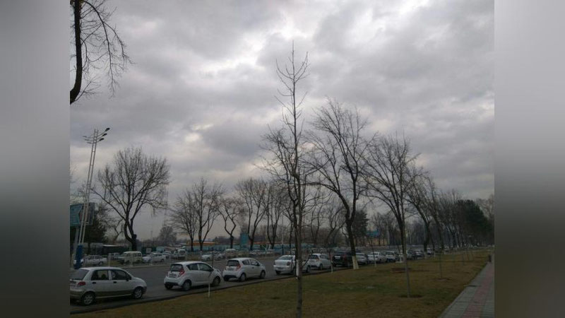 Изрображение 'В УЗБЕКИСТАНЕ 15 ФЕВРАЛЯ СТАНЕТ ЕЩЕ ХОЛОДНЕЙ, ВРЕМЕНАМИ ОСАДКИ'