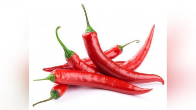 'QALAMPIR — BEL OG`RIG`IGA DAVO'ning rasmi