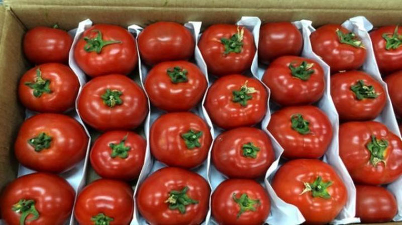 '​Rossiya O`zbekistondan kelgan 19 tonna pomidorni qabul qilmadi'ning rasmi