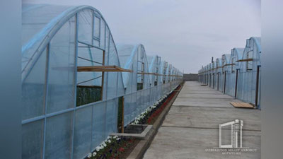 'Фоторепортаж: Чуст туманидаги “Барака мева саноат сервис” масъулияти чекланган жамиятида'ning rasmi