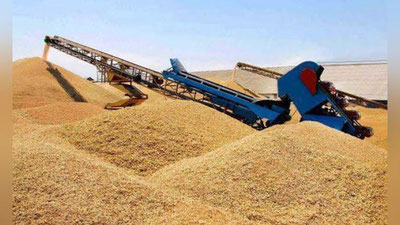 Изрображение 'Отказ от обязательной продажи зерна государству осуществят в два этапа'