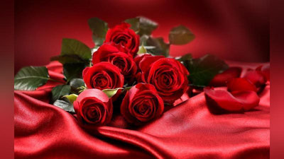 '52 TA ATIRGUL'ning rasmi