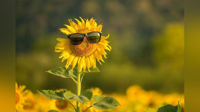 'Dam olish kunlari bizni qanday ob-havo kutyapti?'ning rasmi