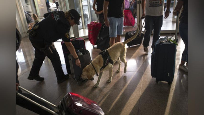 'Ayolning oshqozonida kokain borligi uchun samolyot shoshilinch qo`nishni amalga oshirdi'ning rasmi