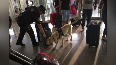 'Ayolning oshqozonida kokain borligi uchun samolyot  shoshilinch qo`nishni amalga oshirdi'ning rasmi