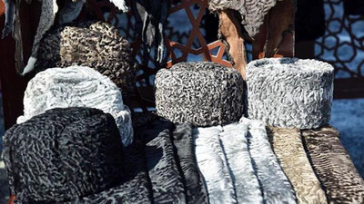 'Qorako`lchilik sohasi yana rivojlantiriladi'ning rasmi