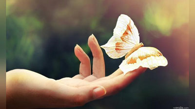 Изрображение 'МАЛЕНЬКОЕ СЧАСТЬЕ'