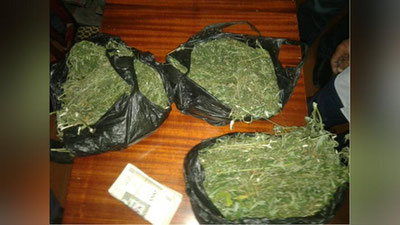 Изрображение 'Семейный "бизнес": в Кашкадарье задержали отца и сына, выращивающих кукнар'