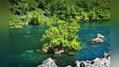 'Ugom-Chotqol davlat biosfera rezervati tashkil etildi'ning rasmi