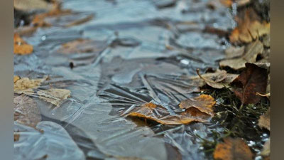 Изрображение 'В ОТДЕЛЬНЫХ РАЙОНАХ СТРАНЫ 27 ЯНВАРЯ ОЖИДАЮТ ДОЖДЬ'