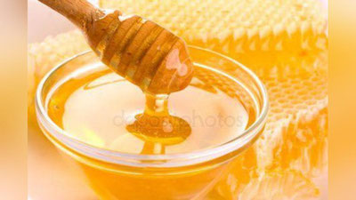 '“Asalni oson yalashga uringanlar”faoliyati qonuniylashtirilmoqda'ning rasmi