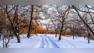 Изрображение 'В СЕЛЬСКИХ РАЙОНАХ ВОСТОЧНОГО КАЗАХСТАНА ОБЪЯВЛЕН РЕЖИМ ЧС'