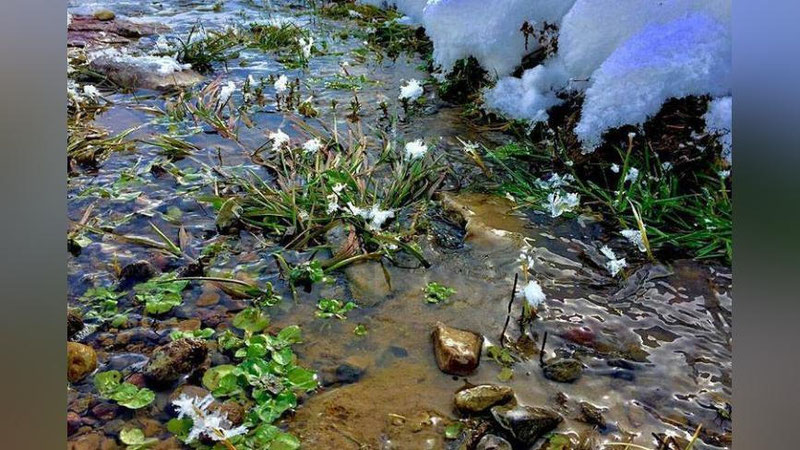 'O`zbekistonda yaqin kunlarda qanday ob-havo kutiladi?'ning rasmi