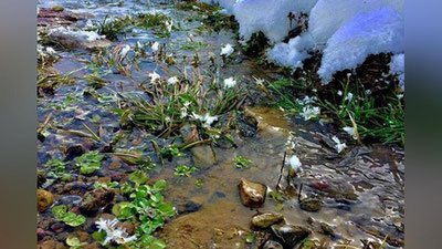 '​O`zbekistonda yaqin kunlarda qanday ob-havo kutiladi?'ning rasmi
