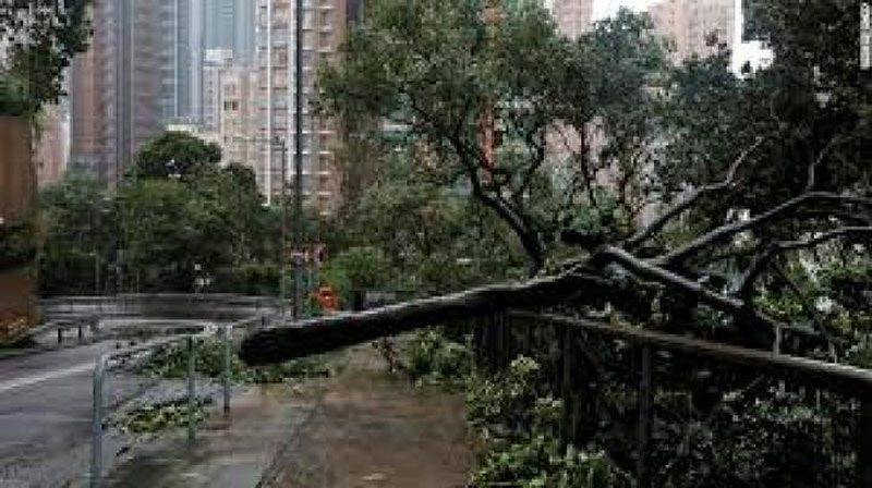 '«Mangxut» tayfuni Honkongga ham etib keldi'ning rasmi