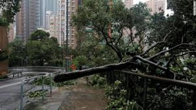 '«Mangxut» tayfuni Honkongga ham etib keldi'ning rasmi