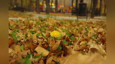 Изрображение 'В УЗБЕКИСТАН ПРИДЕТ АНОМАЛЬНО ТЕПЛАЯ ПОГОДА'