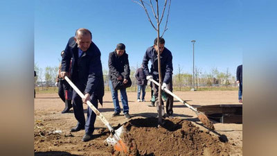 '​Avtobusdagi yong`inda halok bo`lgan o`zbekistonliklar xotirasiga  52ta daraxt ko`chati o`tqazildi'ning rasmi