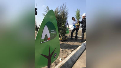 Изрображение 'В ТАШКЕНТЕ ПРИСТУПИЛИ К МАССОВОЙ ВЫСАДКЕ ДЕРЕВЬЕВ (ФОТО, ВИДЕО)'