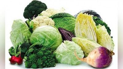 'Tabobat: KARAMNING TANAMIZGA FOYDASI 'ning rasmi