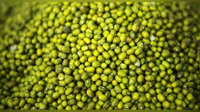 'Навоийлик ёш фермер 60 тонна мошни Ҳиндистонга экспорт қилди'ning rasmi