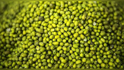 'Навоийлик ёш фермер 60 тонна мошни Ҳиндистонга экспорт қилди'ning rasmi