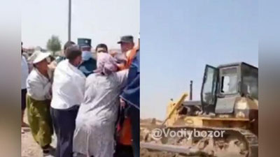 'Qibrayda  9 gektarlik pishib turgan qulupnay maydoni buldozerda vayron qilindi (video)'ning rasmi