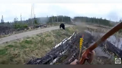 Изрображение 'КАНАДСКИЙ ОХОТНИК ВЫЖИЛ ПОСЛЕ АТАКИ МЕДВЕДЯ (ВИДЕО)'