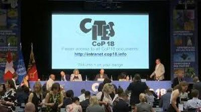 'Jenevada yovvoiy tabiatni asrash bo`yicha Xalqaro konferensiya bo`ldi (Video)'ning rasmi