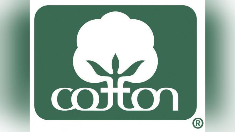 'Cotton Campaign Ўзбек пахтасига "бойкот"ни бекор қилиши мумкин'ning rasmi