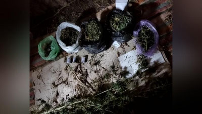 '20,8 kilogramm marixuanna saqlanayotgan xonadon fosh etildi'ning rasmi
