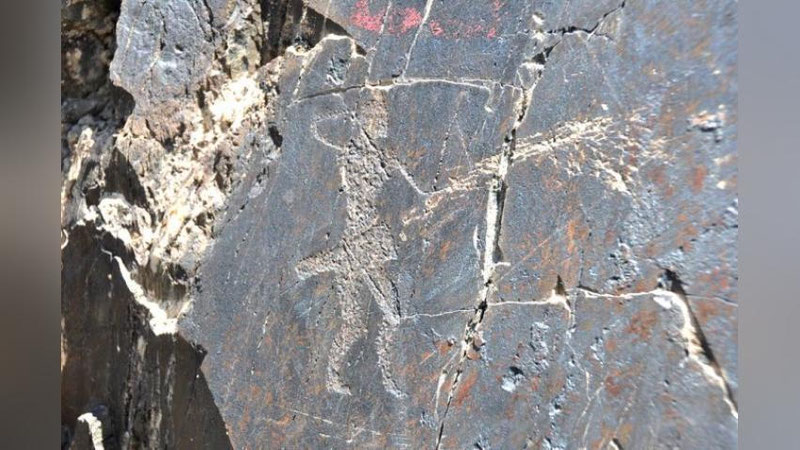 'СУРХОНДАРЁ ВИЛОЯТИДА ЯНГИ ЭКОТУРИСТИК ЙЎНАЛИШ ОЧИЛАДИ'ning rasmi