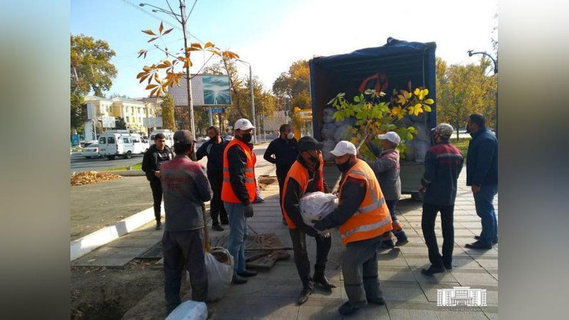 Изрображение 'В Ташкенте 21 улицу планируется озеленить по обочинам'