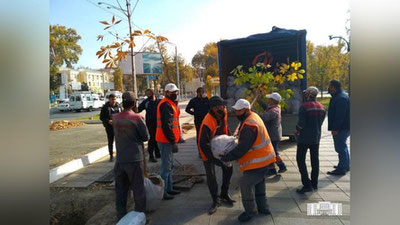 Изрображение 'В Ташкенте 21 улицу планируется озеленить по обочинам'